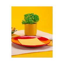 Renova Toalhas de Mesa 80x120 cm